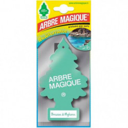 ARBRE MAGIQUE BREZZA DI MYCONOS