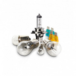 Kit lampade alogene H7