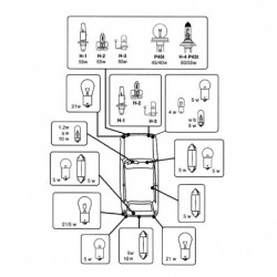 Coppia Lampade auto a siluro Goodyear 12V 11x38 5W
