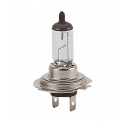 Lampade H7 12V 55W 10Pz.