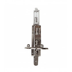 Lampade H1 12V 55W 10Pz.