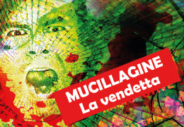 Mucillagini - Cosa fare ?
